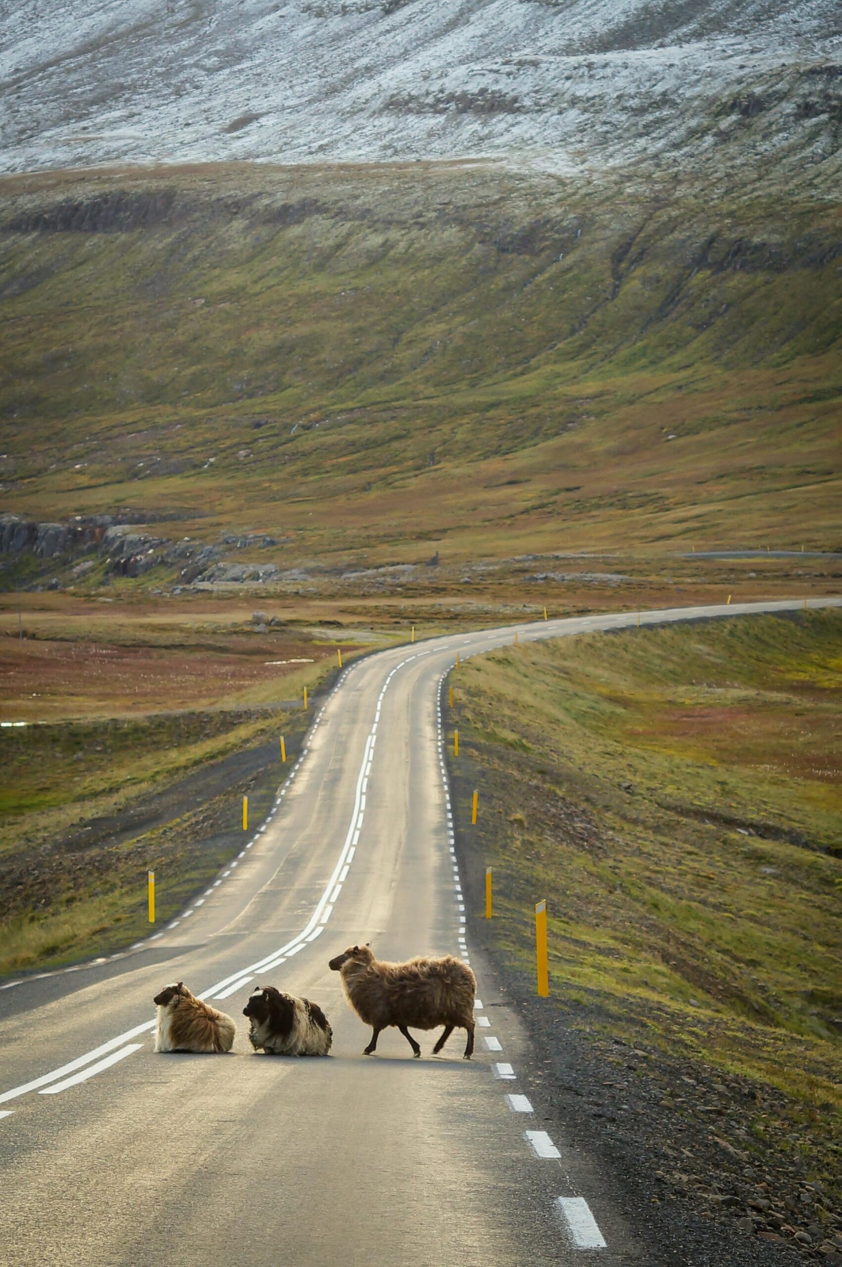 Borgarnes, Iceland