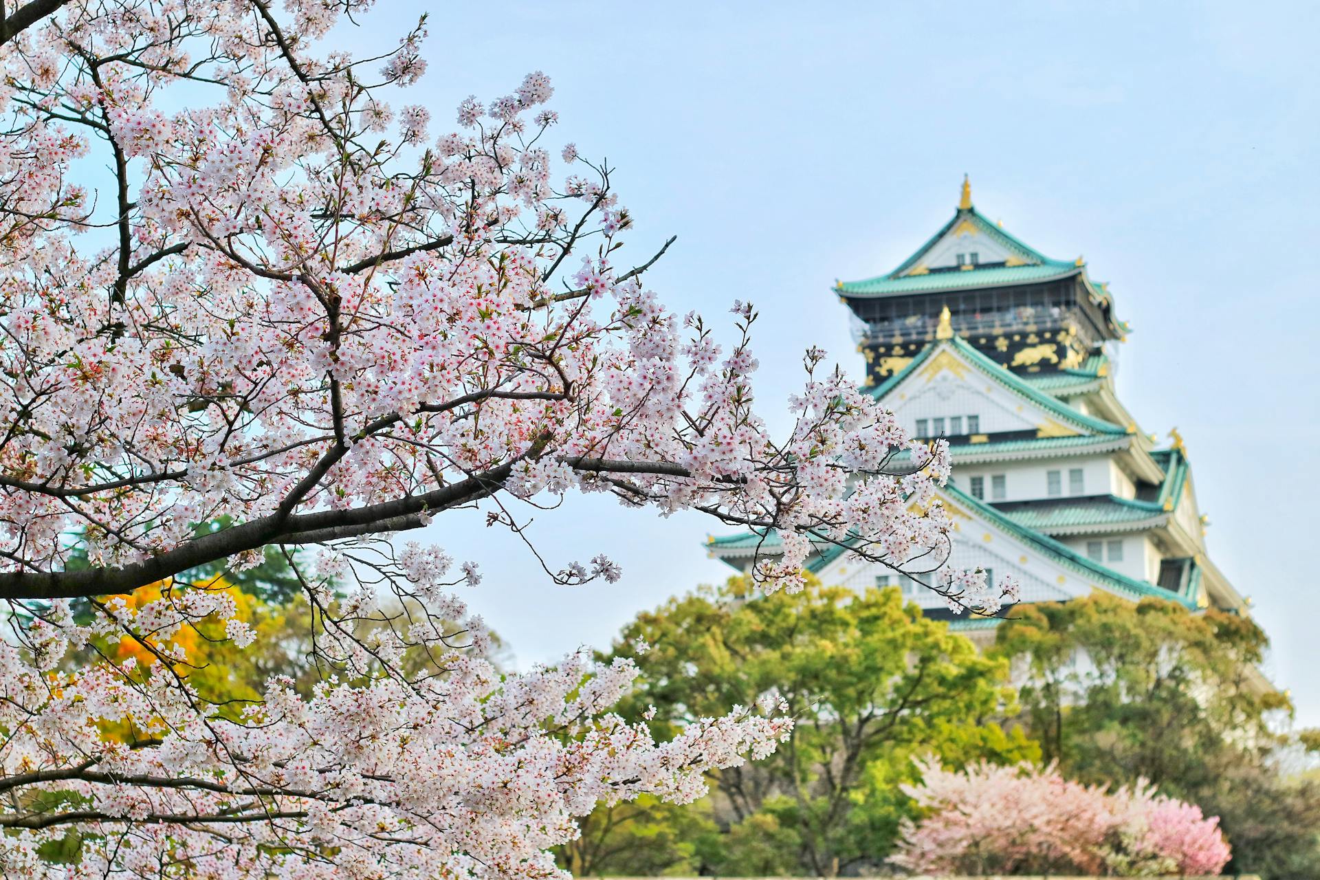 Rittō, Japan