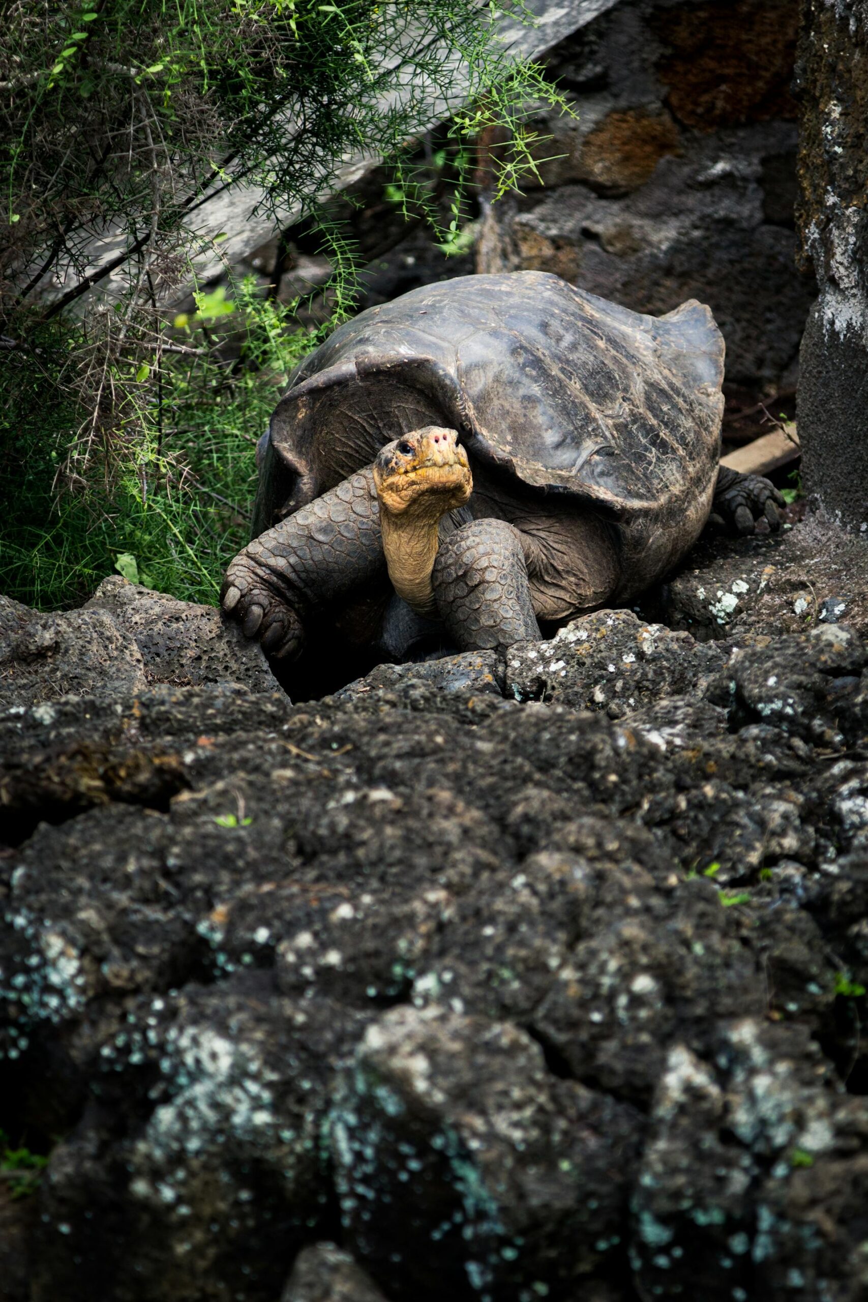 Quinindé, Ecuador